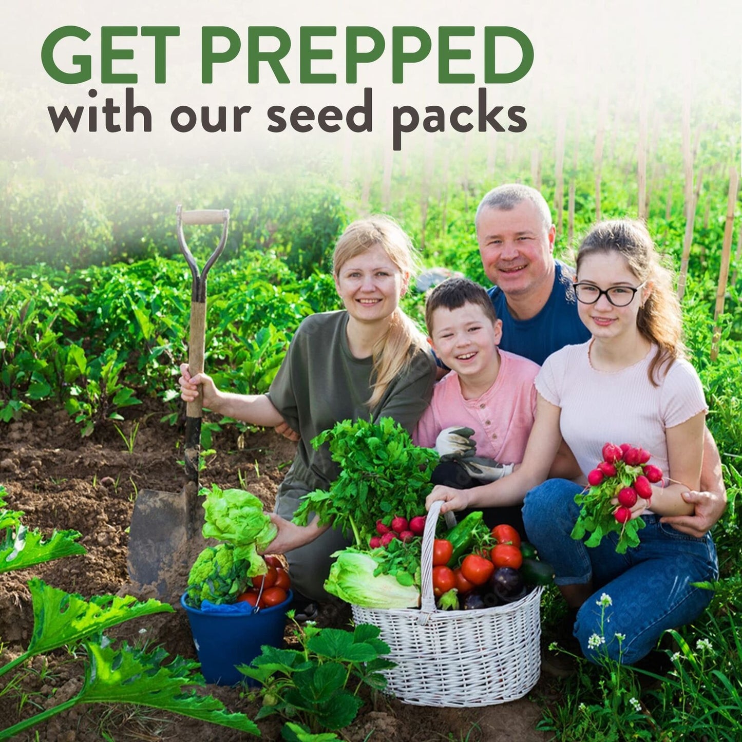 32 Heirloom Vegetable and Fruit Seeds for Planting - 16,000+ Seeds | Non-Gmo ...