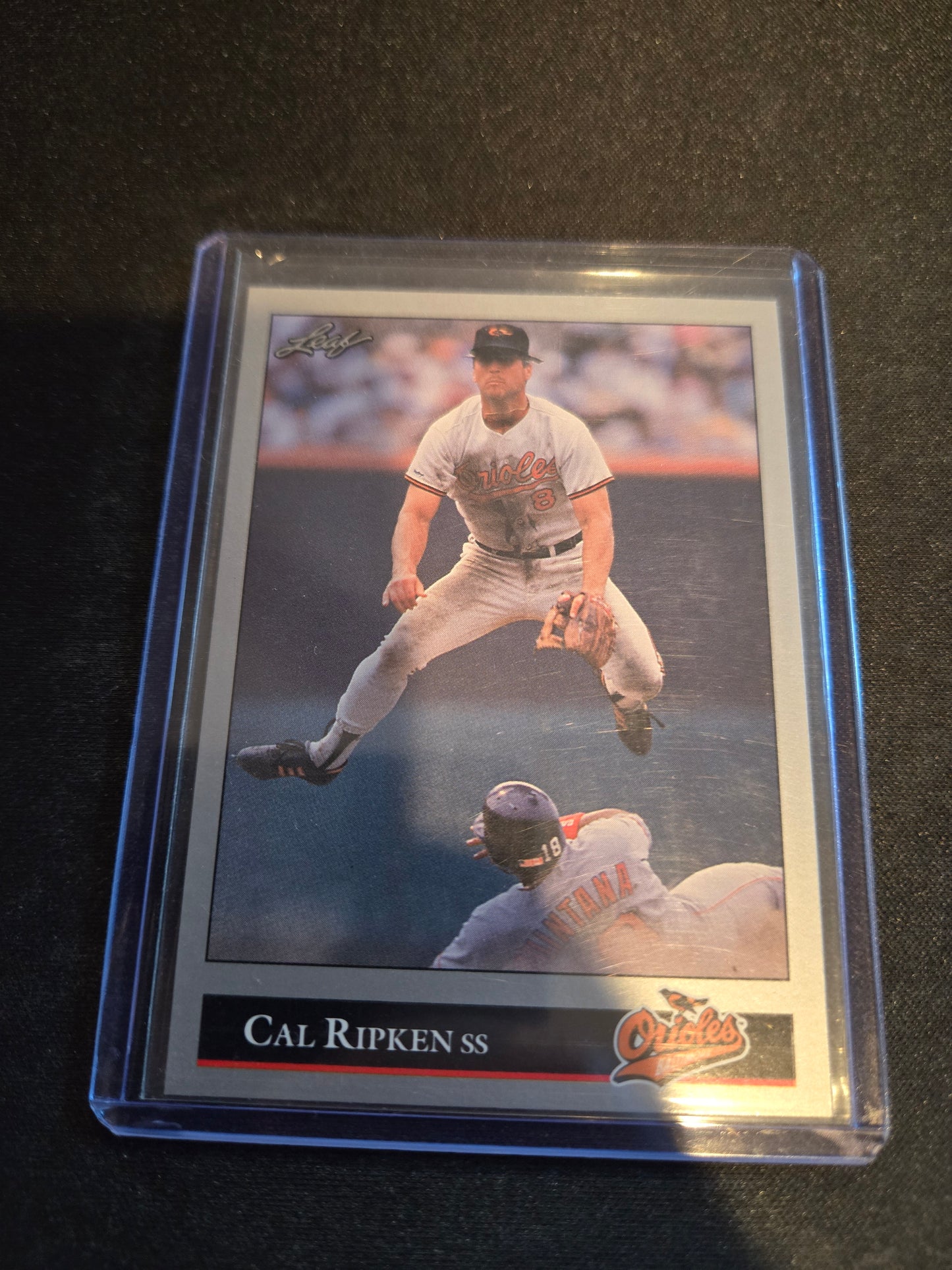 Cal Ripken Leaf #52