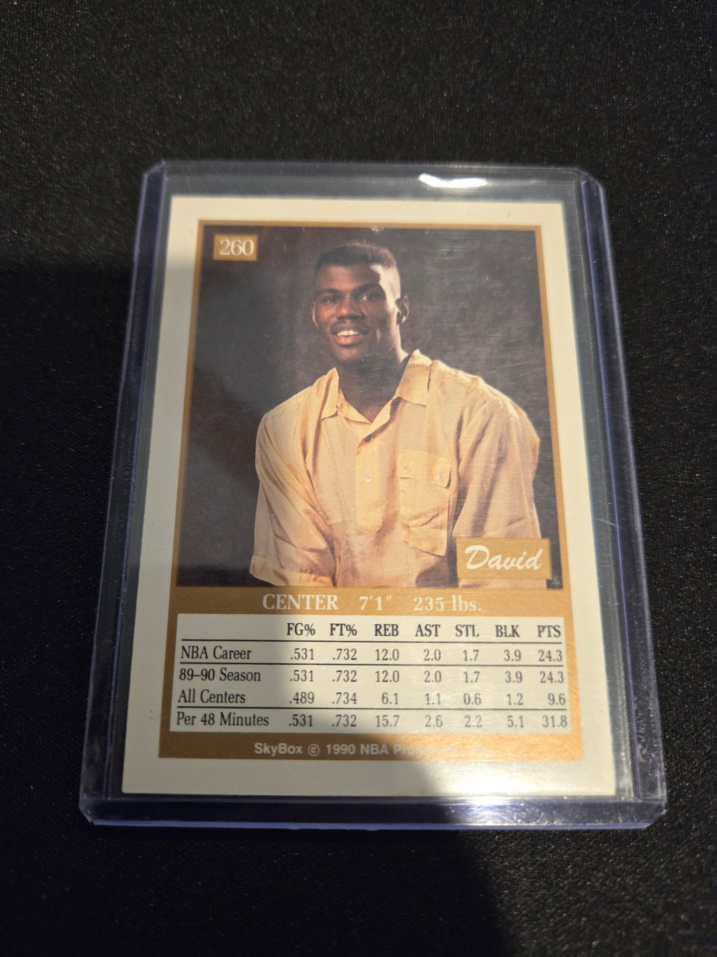 David Robinson Sky Box #260