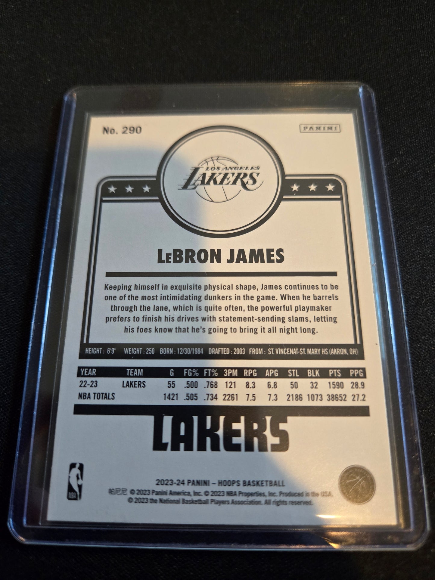 Lebron James NBA Hoops #290 (Winter)