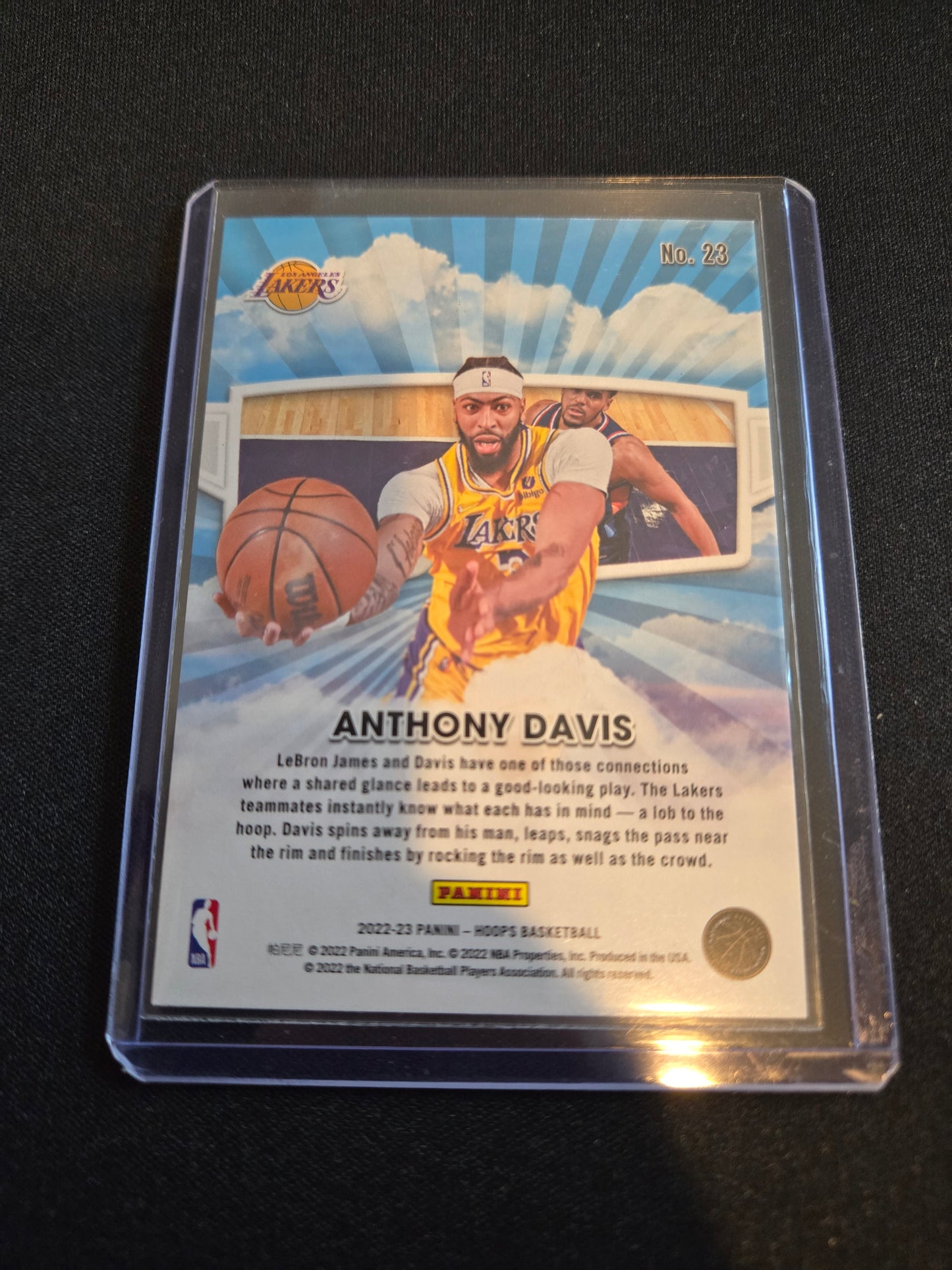 Anthony Davis NBA Hoops Skyview #23