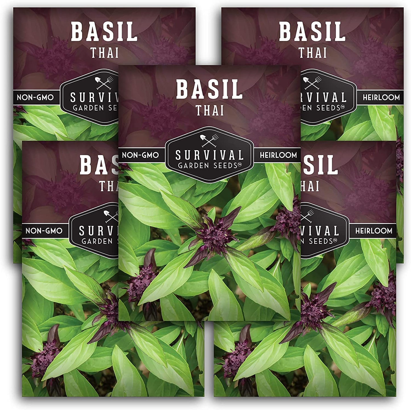 - Thai Basil Seed for Planting - Packet with Instructions to Plant and Grow Asian Basil Indoors or Outdoors in Your Home Vegetable Garden - Non-Gmo Heirloom Variety - 5 Pack