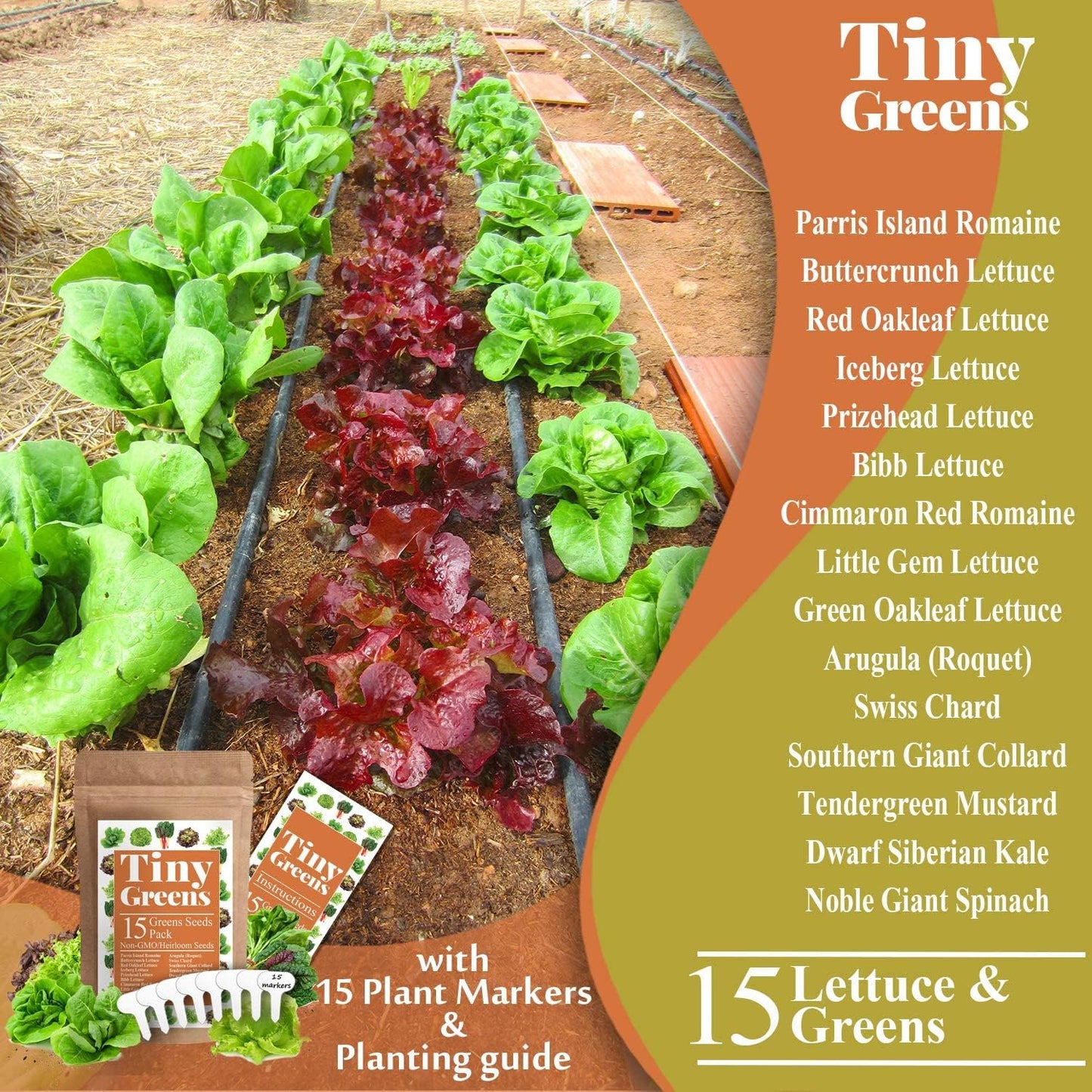 15 Heirloom Lettuce Seeds for Planting | 4000+ Non-Gmo, Heirloom Leafy Greens Seed: Romaine Iceberg Butter Lettuce Seeds, Kale Spinach Arugula Seeds | Seeds for Hydroponic Garden Indoor Microgreens